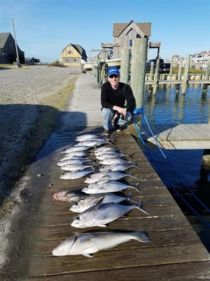 Hatteras Blackfin Fishing Report