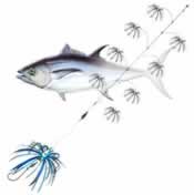 Tuna Rig Bluefin Tuna Rig – Eye Catcher Lures